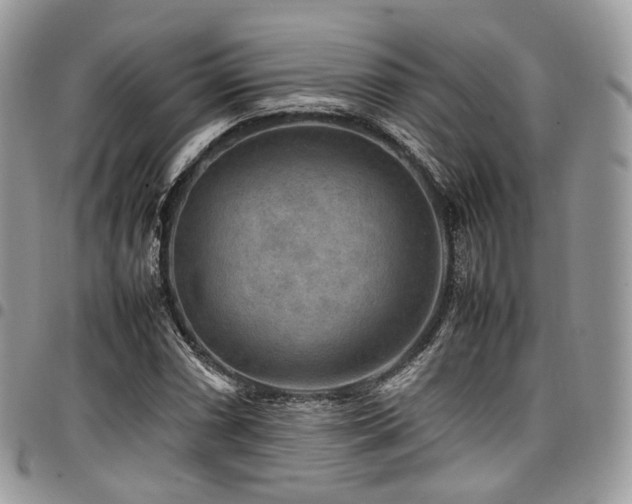 X0000098021066200803281329