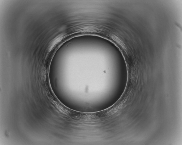 X0000098021067200803281329