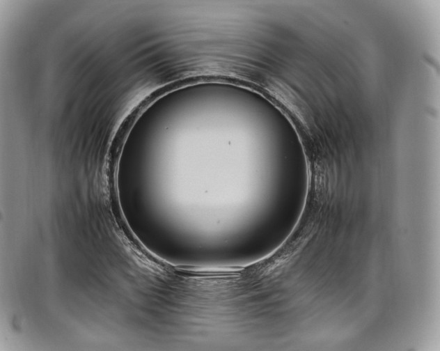 X0000098021068200803281329