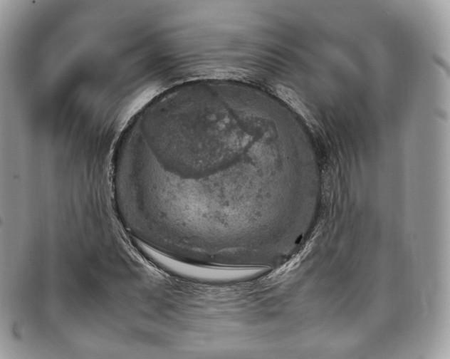 X0000098021071200803281329