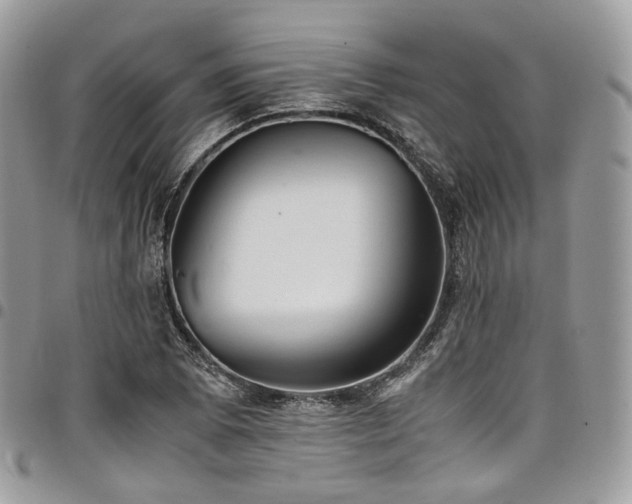 X0000098021073200803281329