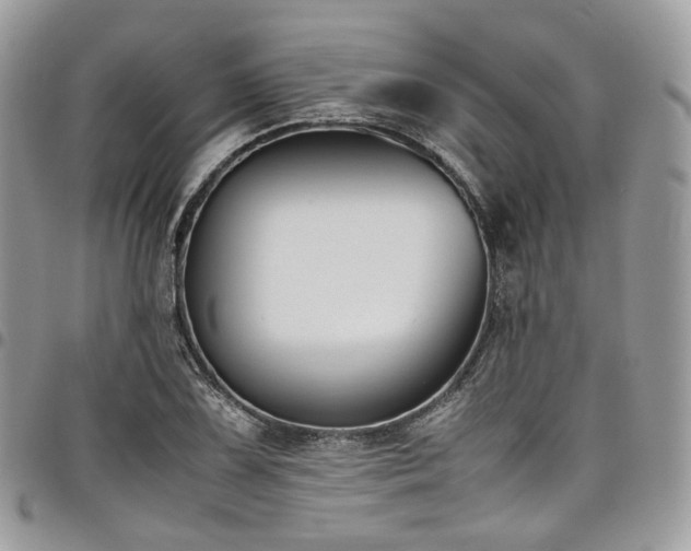 X0000098021075200803281329