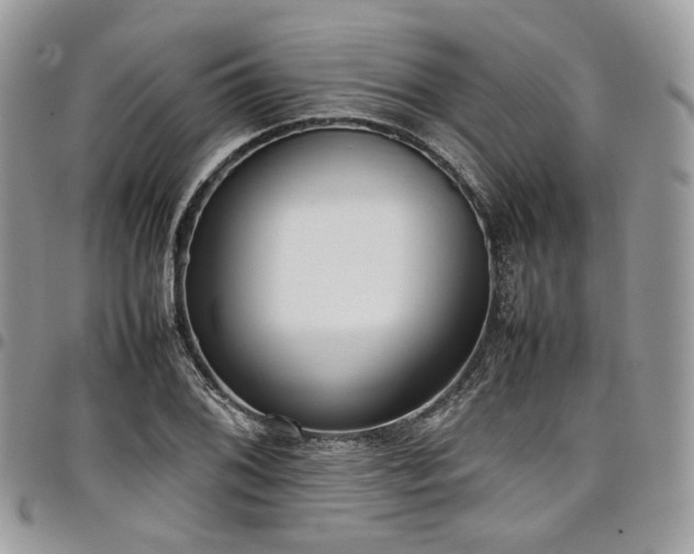 X0000098021076200803281329