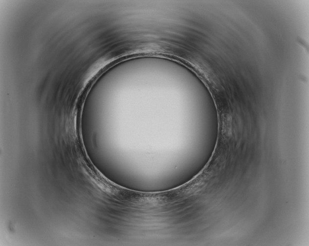 X0000098021078200803281329