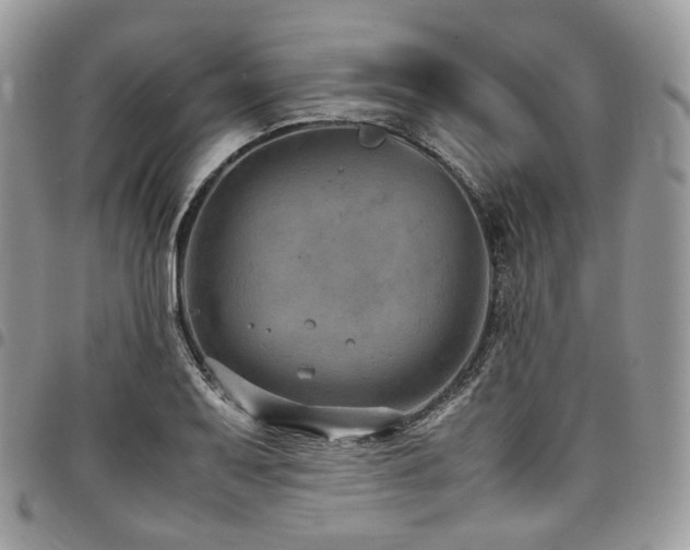 X0000098021079200803281329