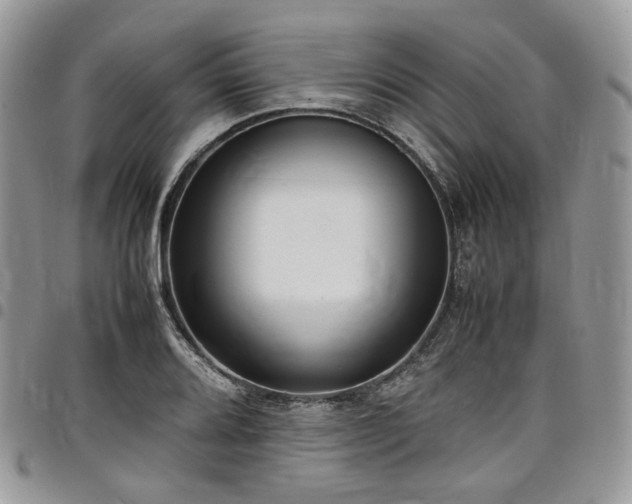 X0000098021080200803281329