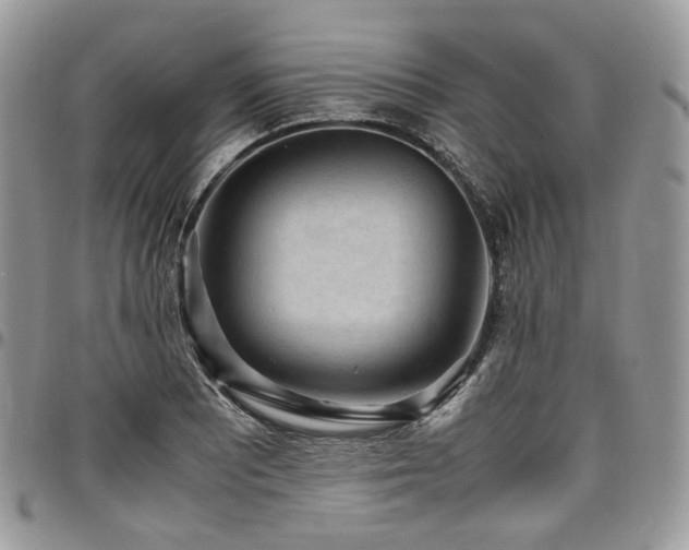 X0000098021081200803281329