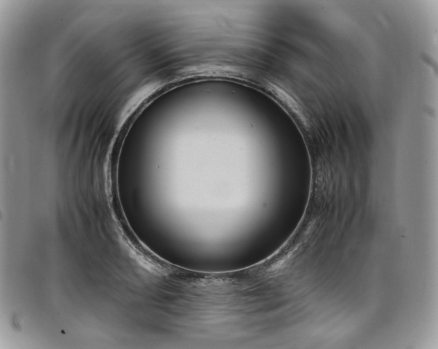 X0000098021082200803281329