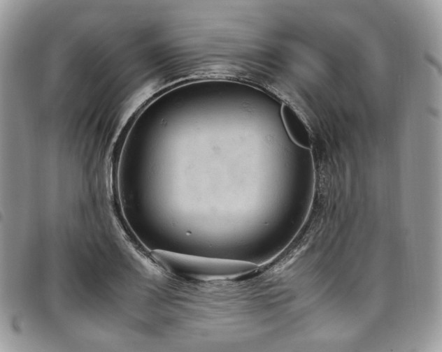 X0000098021083200803281329