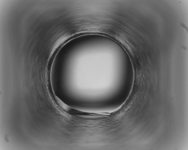 X0000098021085200803281329