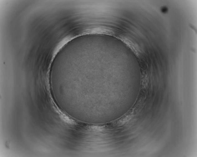 X0000098021086200803281329