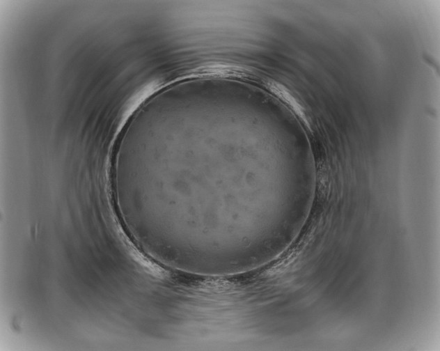 X0000098021091200803281329