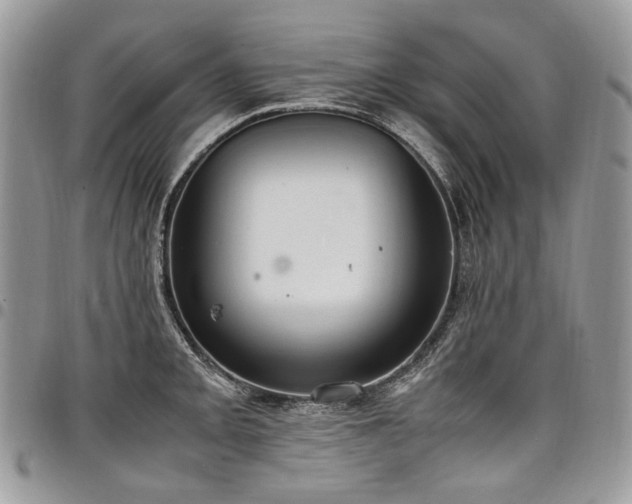 X0000098021093200803281329