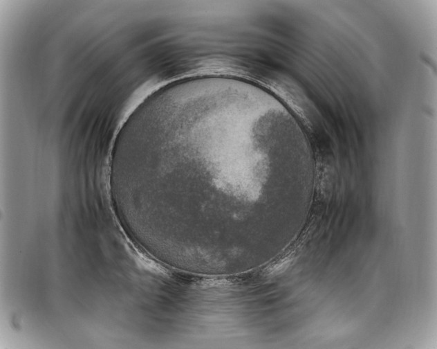 X0000098021094200803281329