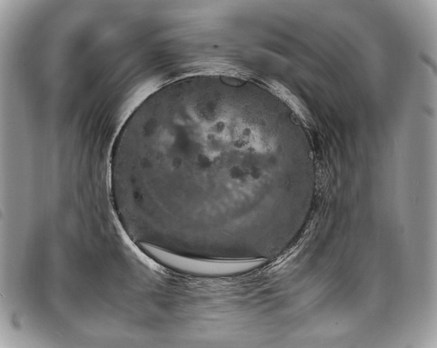 X0000098021095200803281329