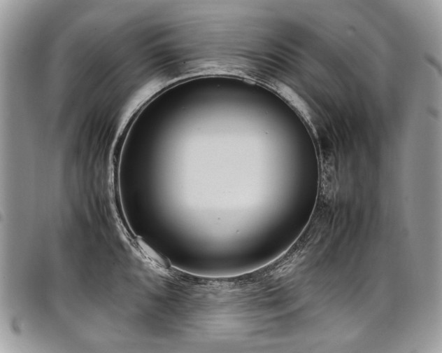 X0000098021096200803281329