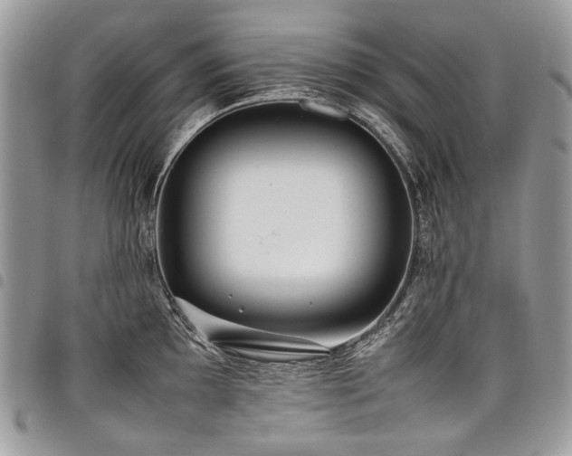 X0000098021097200803281329