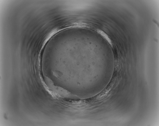 X0000098021099200803281329