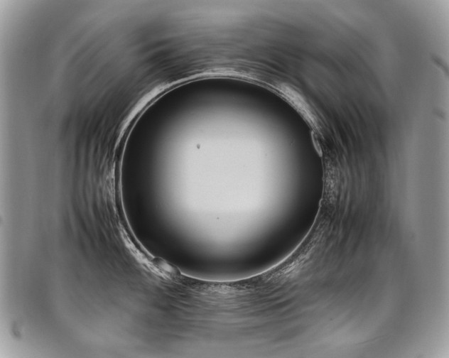 X0000098021100200803281329