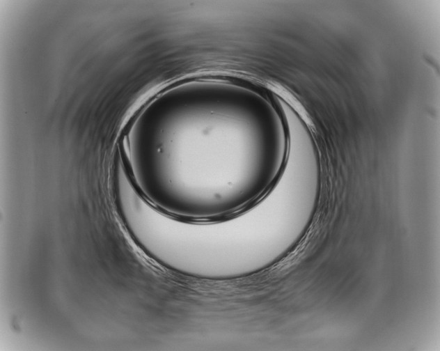 X0000098021101200803281329