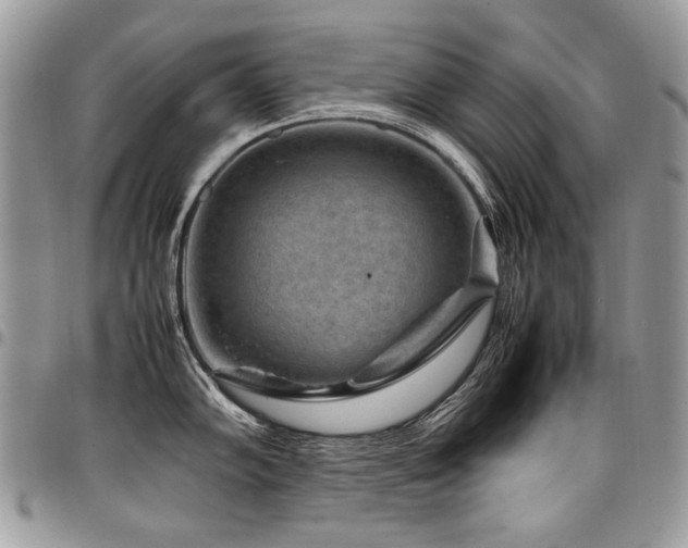 X0000098021102200803281329