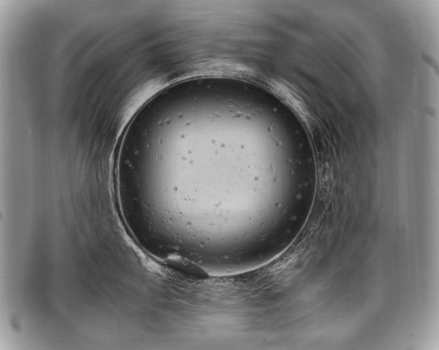 X0000098021103200803281329