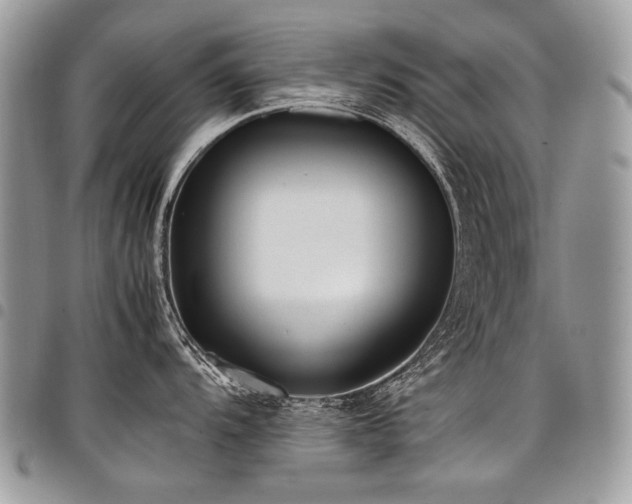 X0000098021104200803281329