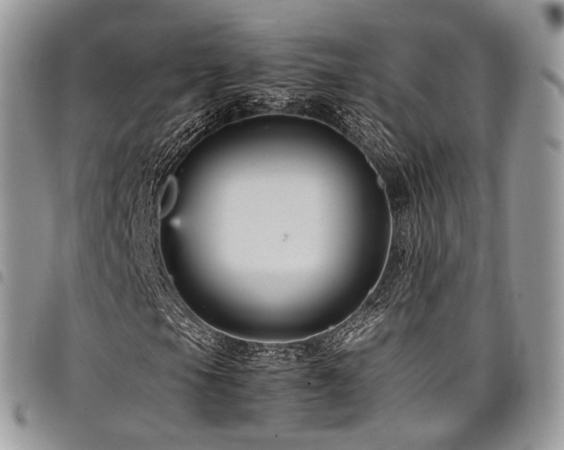 X0000098021105200803281328