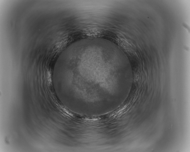 X0000098021106200803281328