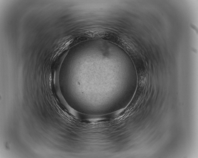 X0000098021108200803281328