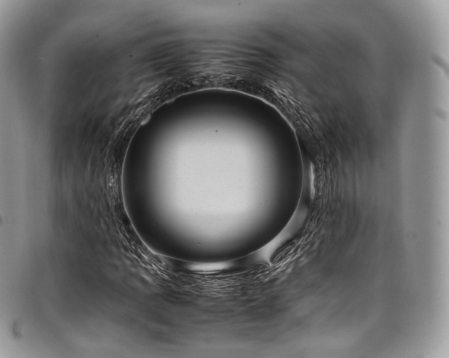 X0000098021109200803281328