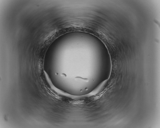 X0000098021110200803281328