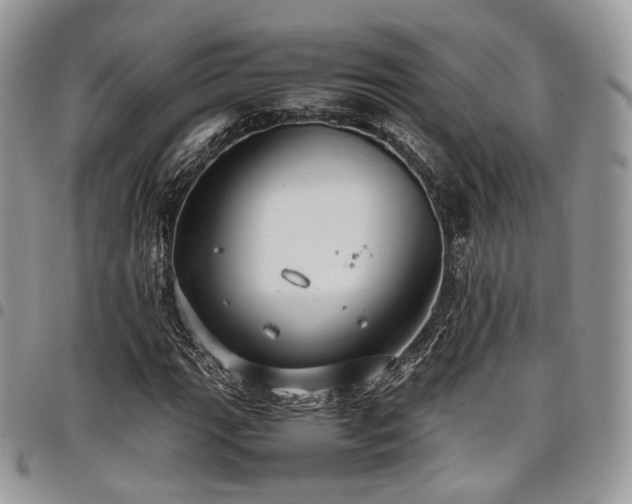 X0000098021111200803281328