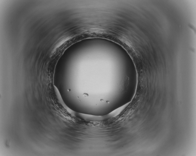 X0000098021112200803281328