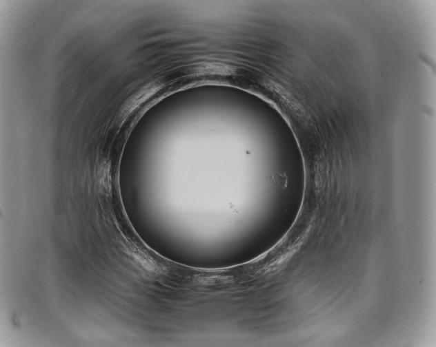 X0000098021113200803281328