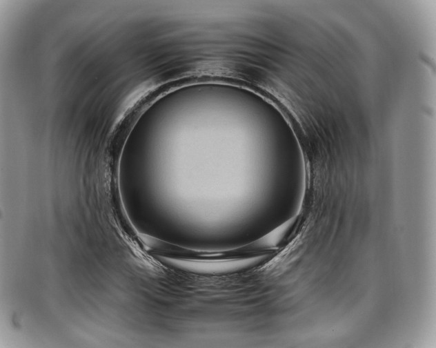 X0000098021115200803281328