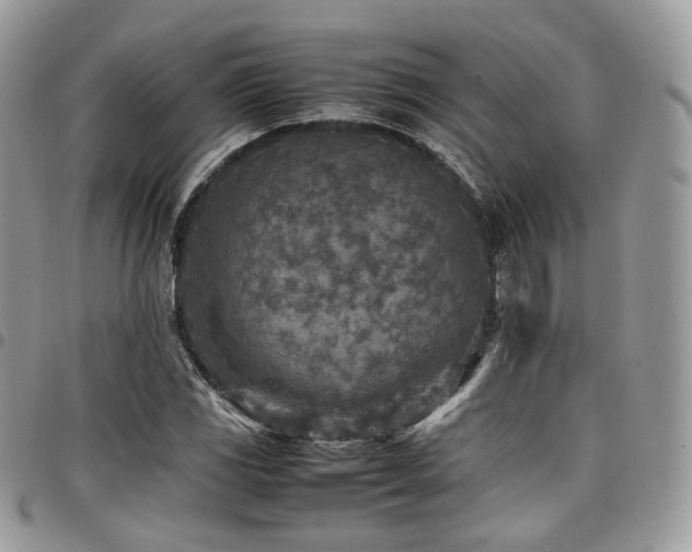 X0000098021117200803281328