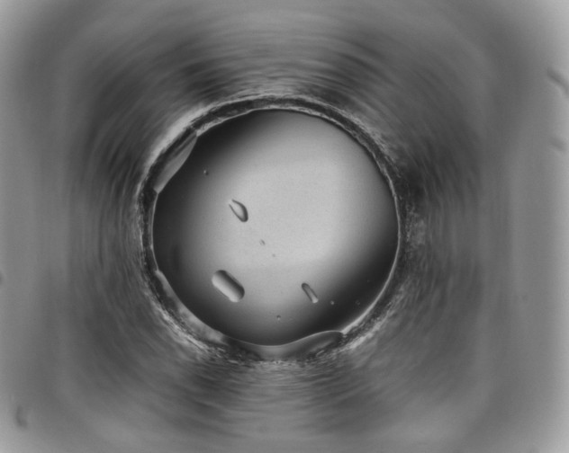 X0000098021118200803281328