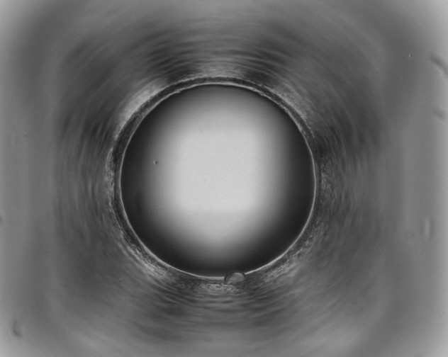 X0000098021119200803281328