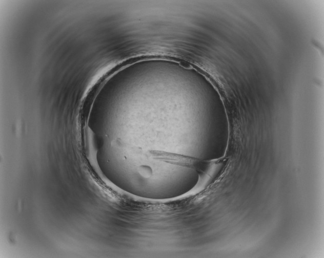 X0000098021120200803281328