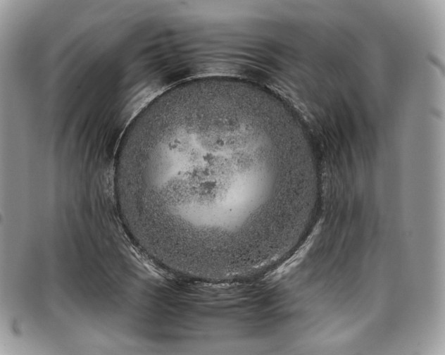 X0000098021121200803281328