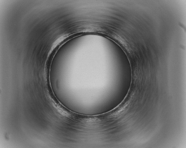 X0000098021122200803281328