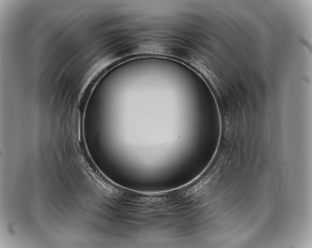 X0000098021123200803281328