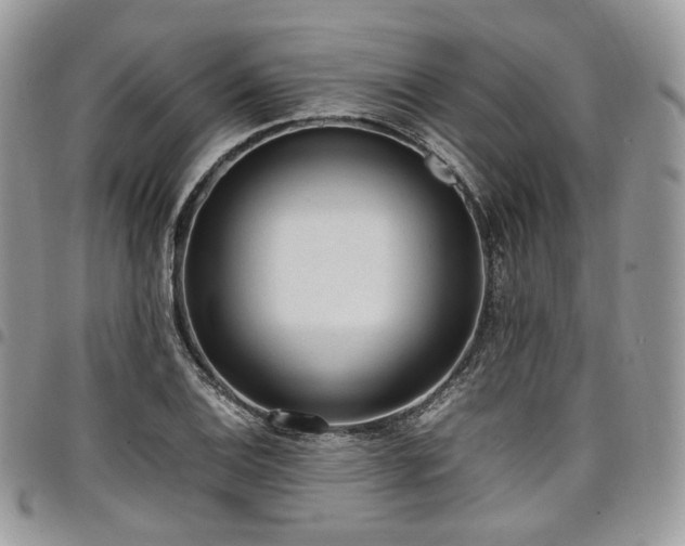 X0000098021124200803281328