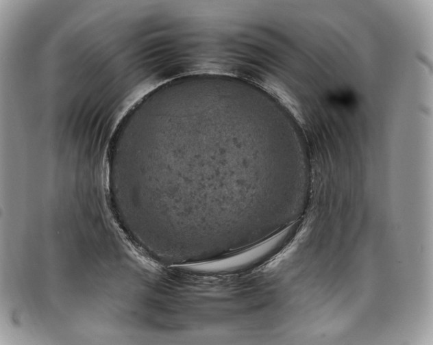 X0000098021125200803281328