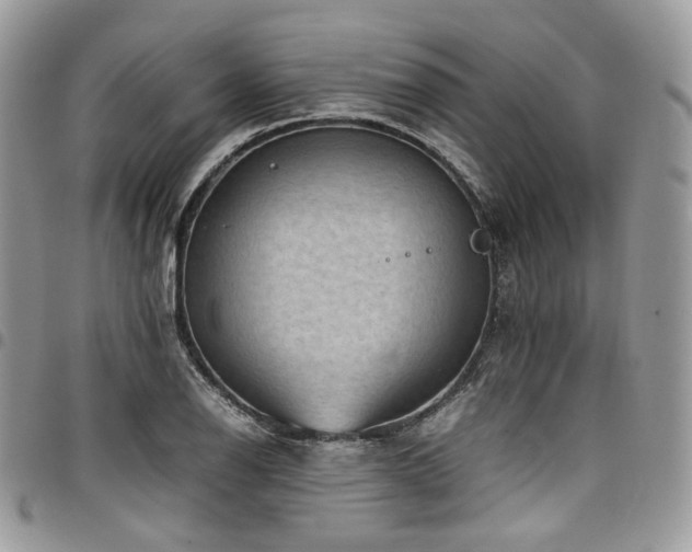 X0000098021126200803281328