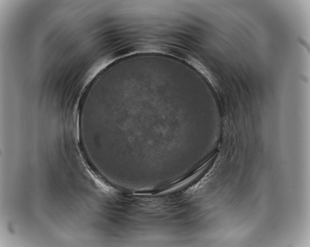 X0000098021127200803281328