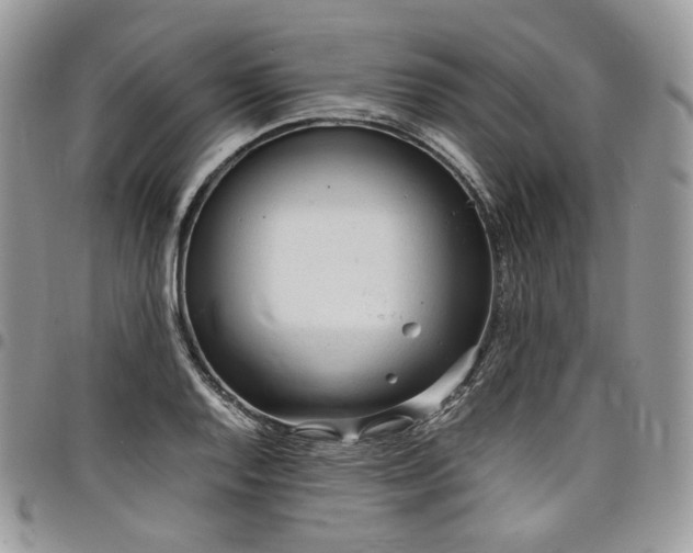 X0000098021128200803281328