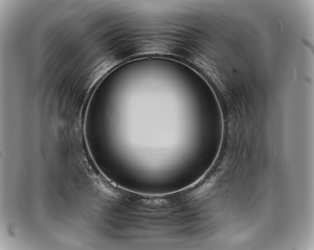 X0000098021129200803281328