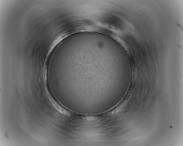 X0000098021130200803281328